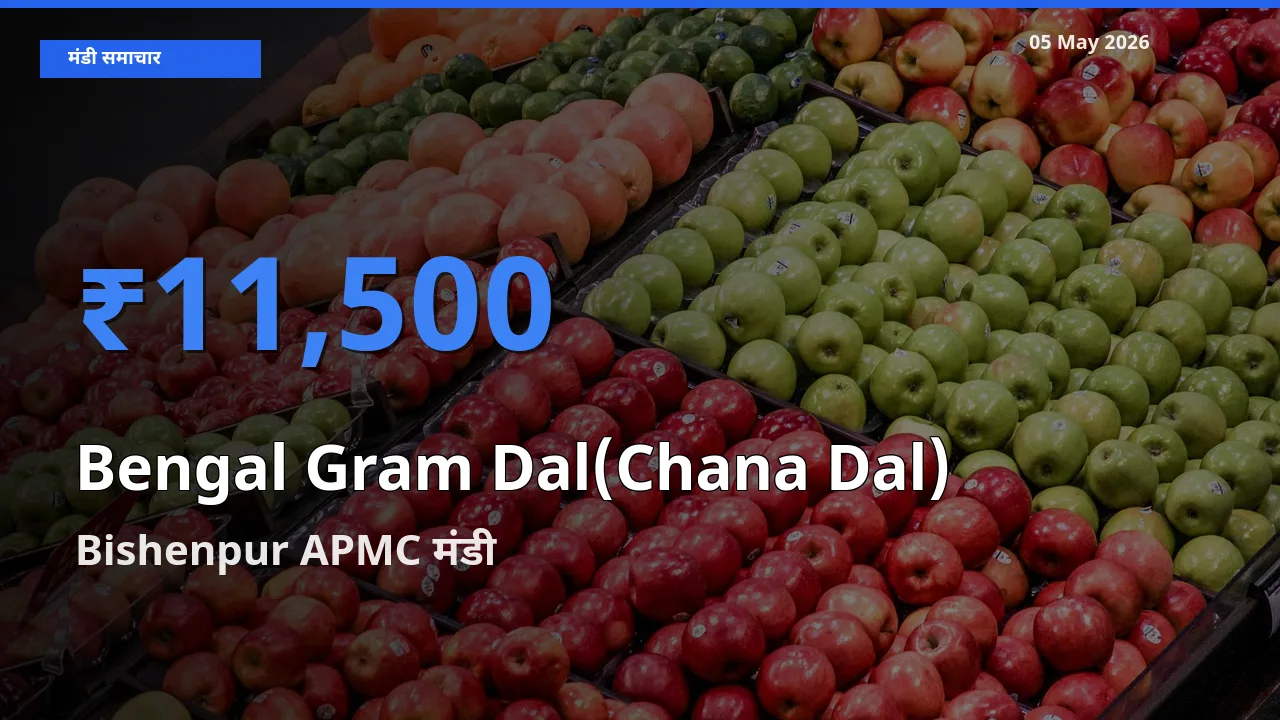 आज का मंडी भाव: चना दाल के सबसे ज़्यादा दाम Bishenpur APMC में