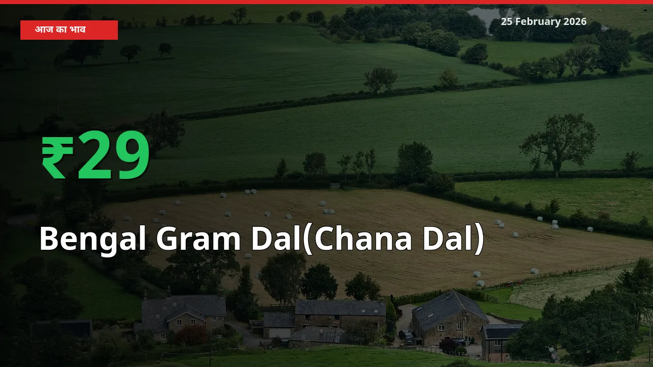 आज का मंडी भाव: Bengal Gram Dal(Chana Dal) के दाम मंडी में 29.3% ऊपर