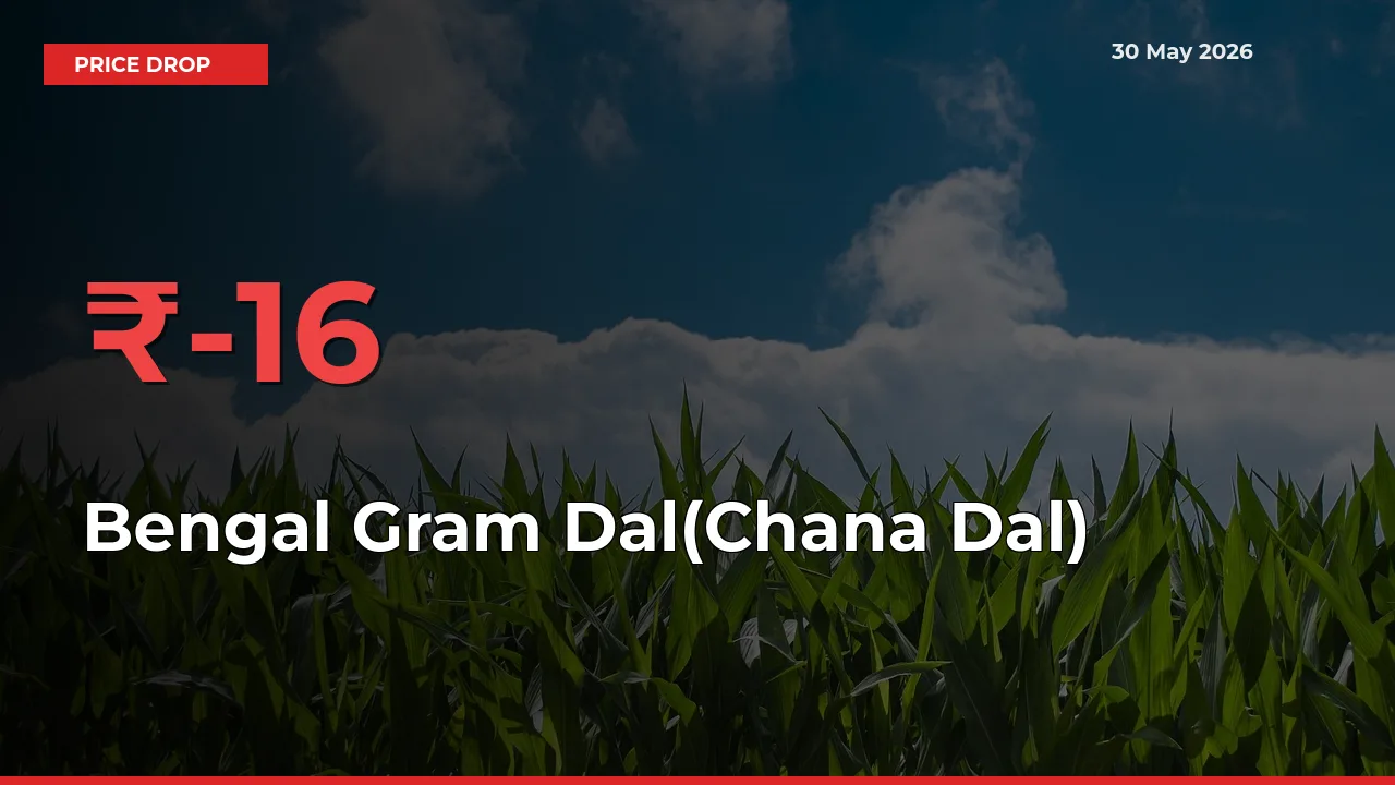 Bengal Gram Dal(Chana Dal) Prices Drop 16.44% – May 30 Market Update from Mandis