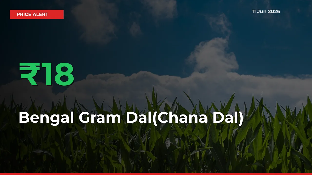 Bengal Gram Dal(Chana Dal) Mandi Rate Today: Prices Jump 17.79% at Market