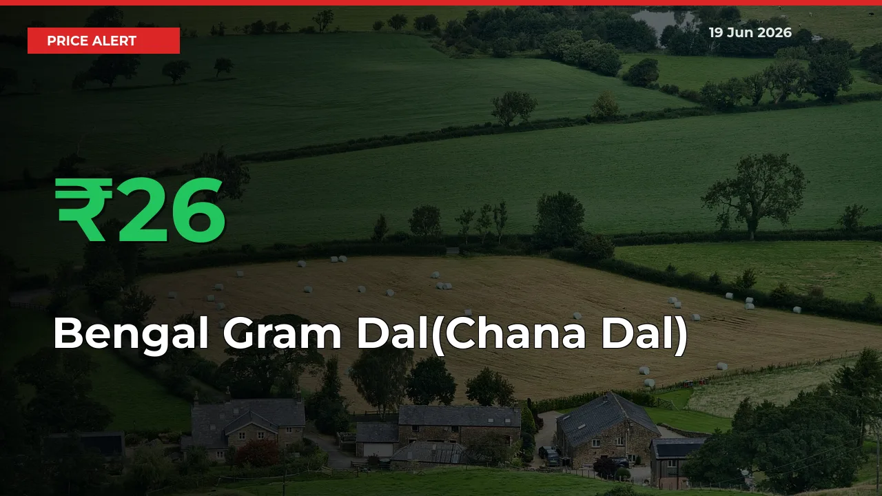 Farmers Cheer as Bengal Gram Dal(Chana Dal) Prices Surge 26.07% in Local Mandis