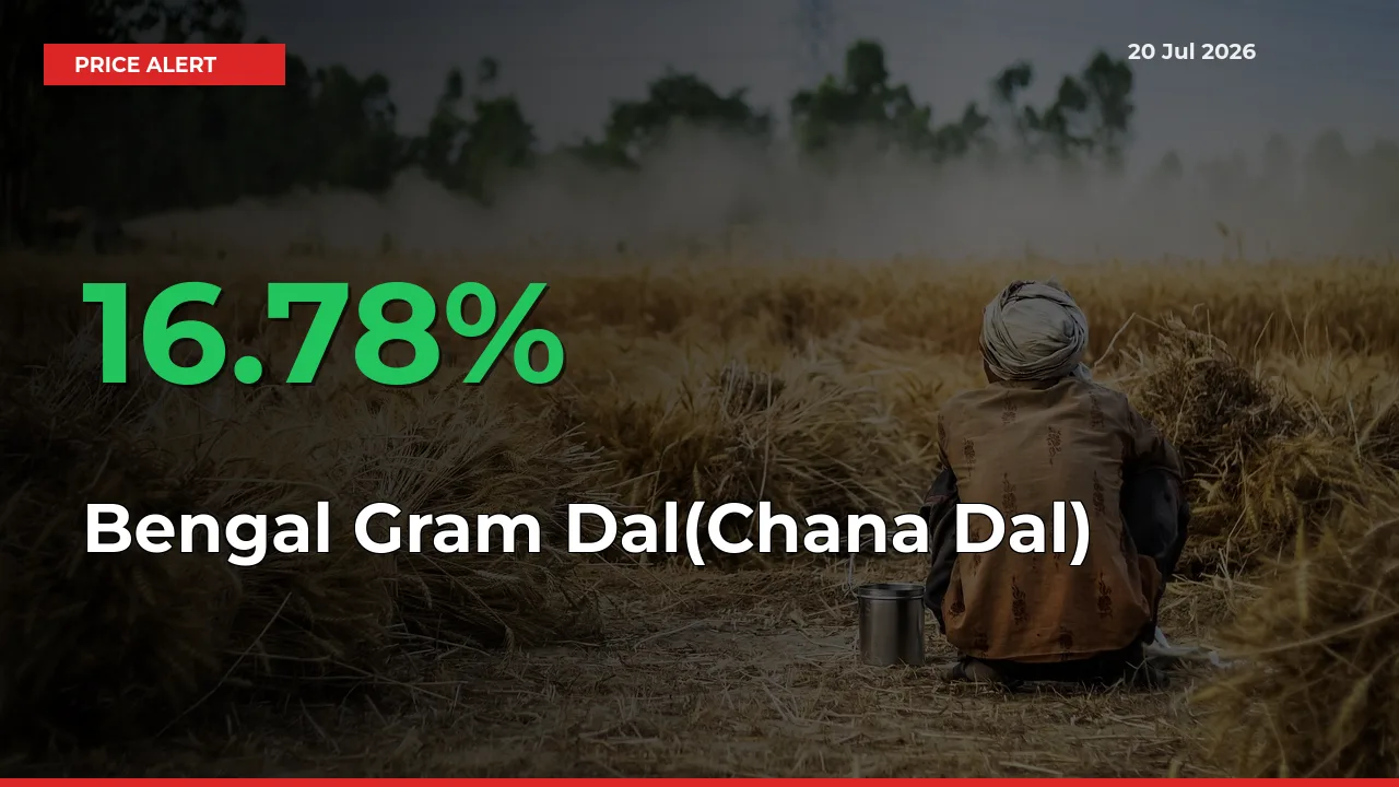 Why Bengal Gram Dal(Chana Dal) Prices Rose 16.78% in a Day at Mandis