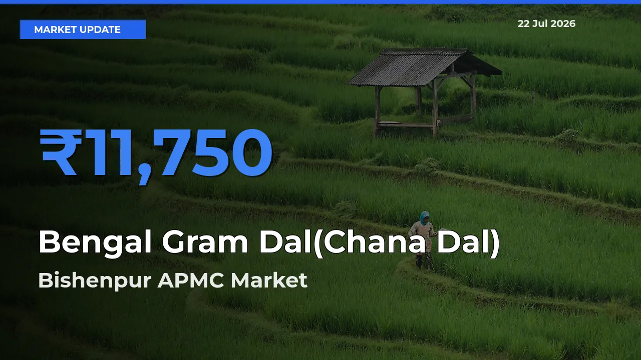 Bishenpur APMC Emerges as Top Mandi for Bengal Gram Dal(Chana Dal) Prices Today