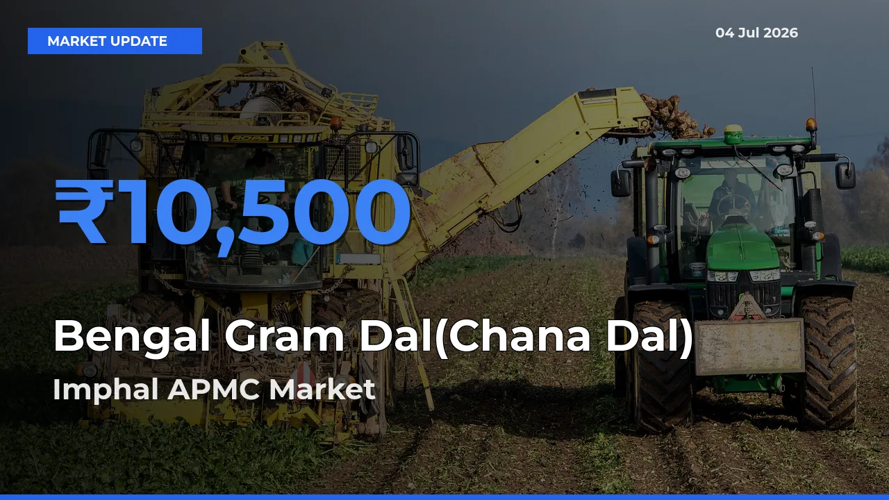 Top Performer! Imphal APMC Offers Best Bengal Gram Dal(Chana Dal) Price Today