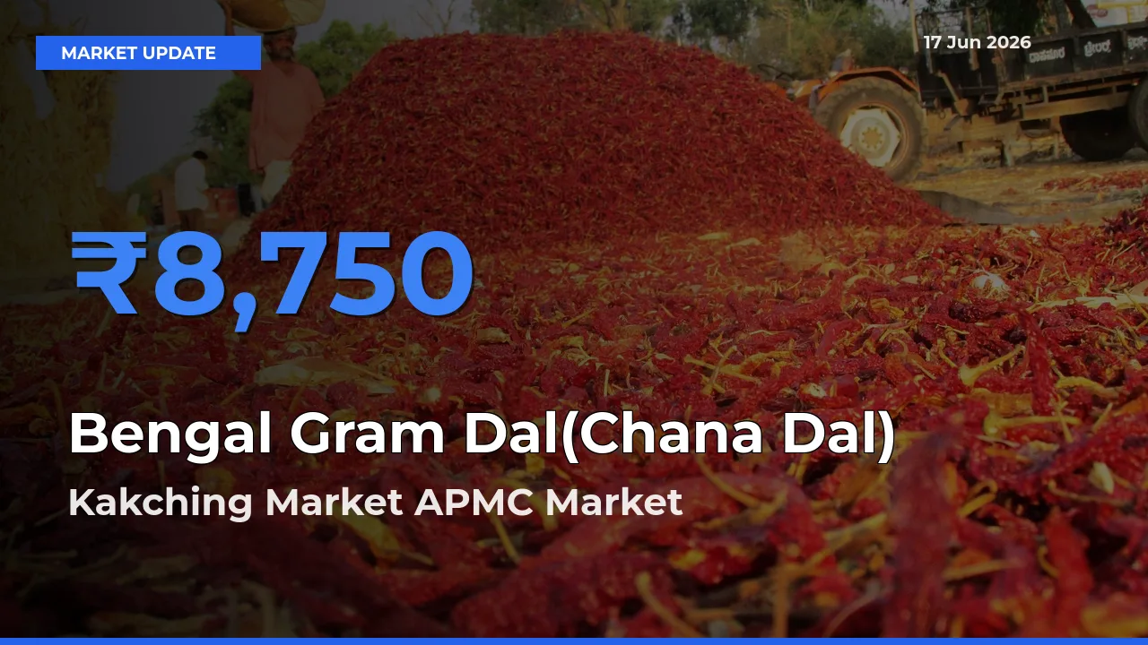 Bengal Gram Dal(Chana Dal) Mandi Rate Today: Kakching Market APMC Tops the List