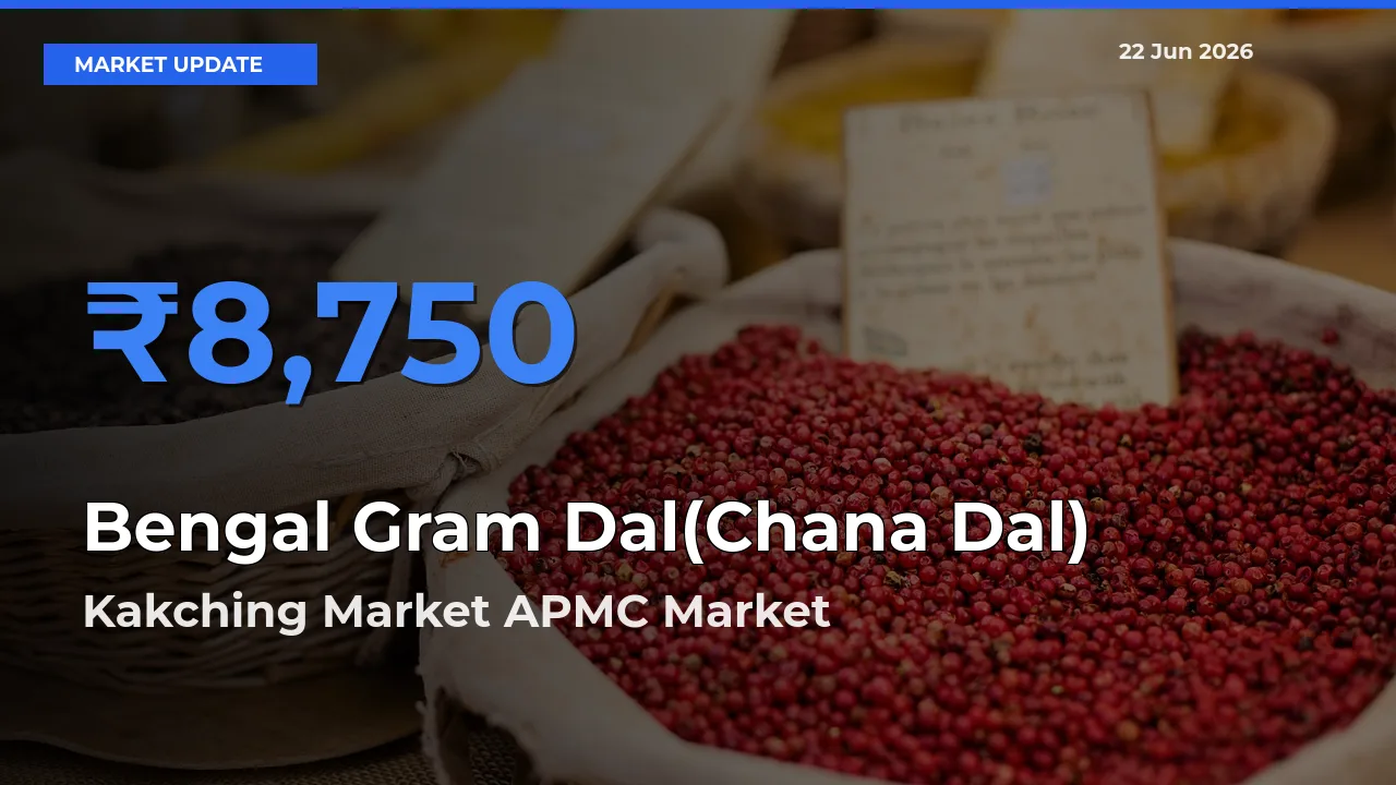 Bengal Gram Dal(Chana Dal) Mandi Rate Today: Kakching Market APMC Tops the List