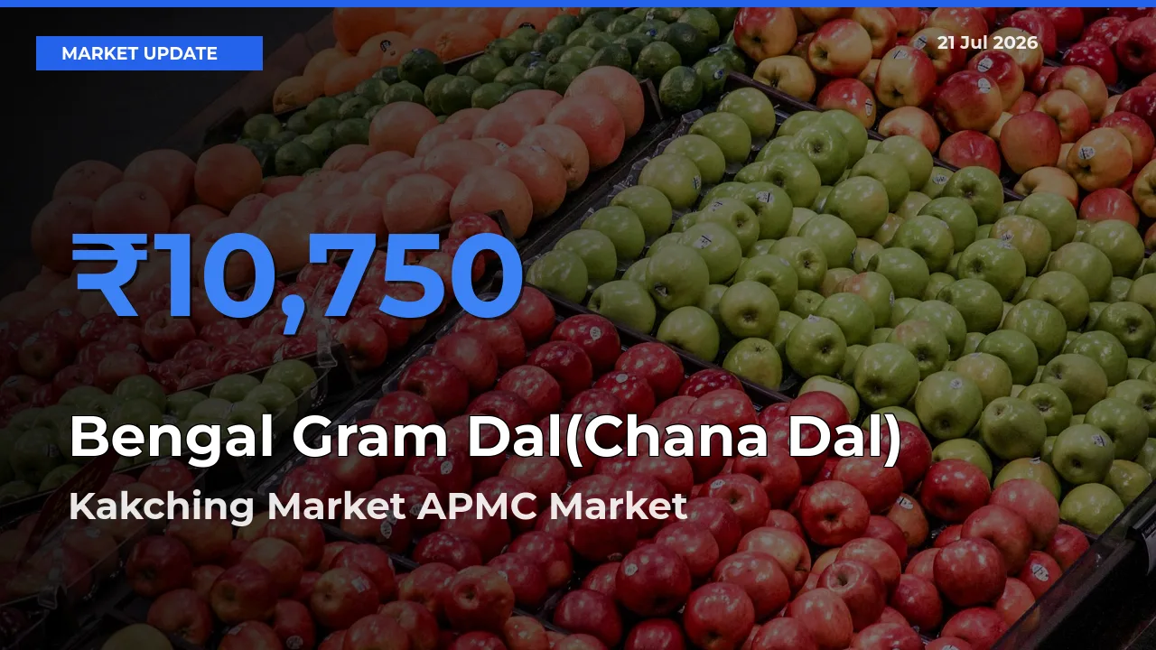 Kakching Market APMC Leads as Top Mandi for Bengal Gram Dal(Chana Dal) Prices