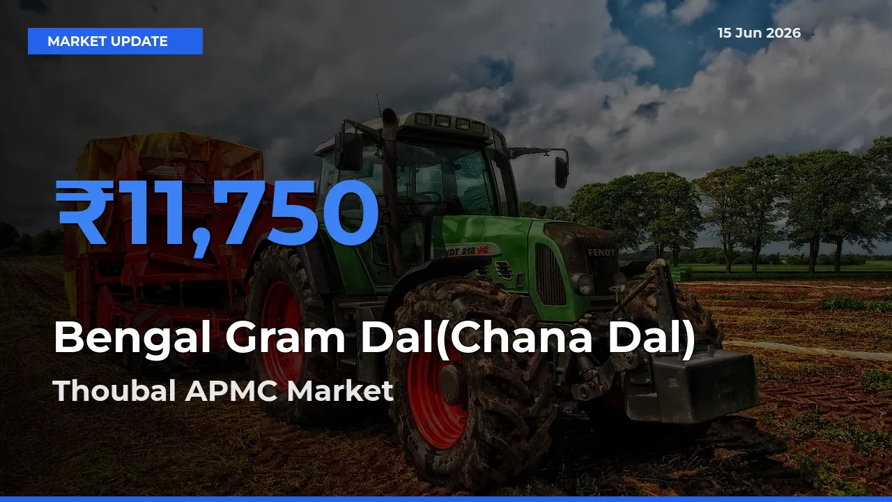 Thoubal APMC Records Highest ₹11,750 Rate for Bengal Gram Dal(Chana Dal)