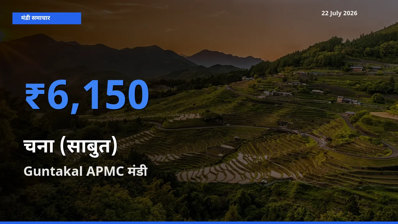 Guntakal APMC में चना (साबुत) का आज सबसे ऊँचा भाव