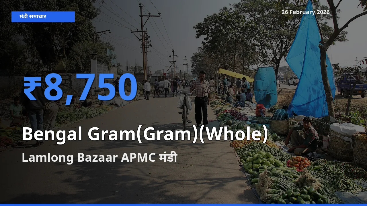 किसानों की पसंद बना Lamlong Bazaar APMC, Bengal Gram(Gram)(Whole) के सबसे अच्छे दाम