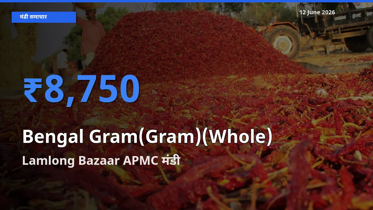 Lamlong Bazaar APMC में चना (साबुत) का आज सबसे ऊँचा भाव