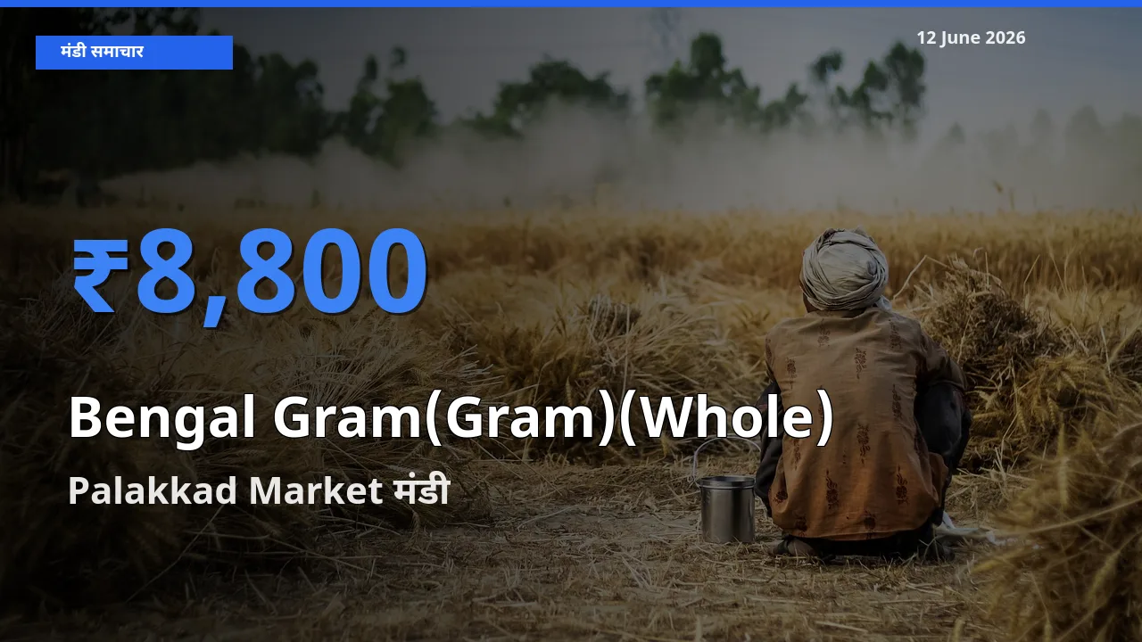 Palakkad Market में चना (साबुत) का आज सबसे ऊँचा भाव