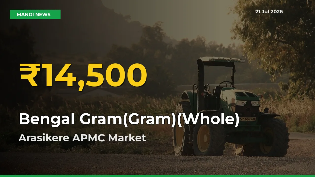Arasikere APMC Leads as Bengal Gram(Gram)(Whole) Hits Highest Rate – July 21 Update