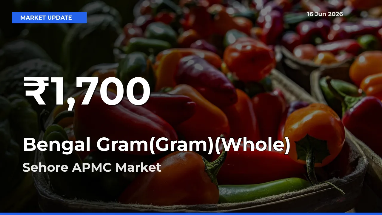 Why Bengal Gram(Gram)(Whole) Prices Slumped in Sehore APMC – 30-Day Low Today