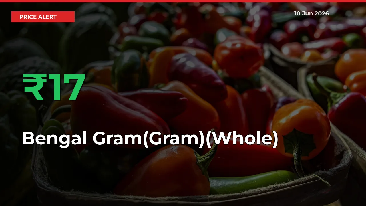 Sharp Jump! Bengal Gram(Gram)(Whole) Prices Climb 17.08% in 24 Hours at Key Mandis