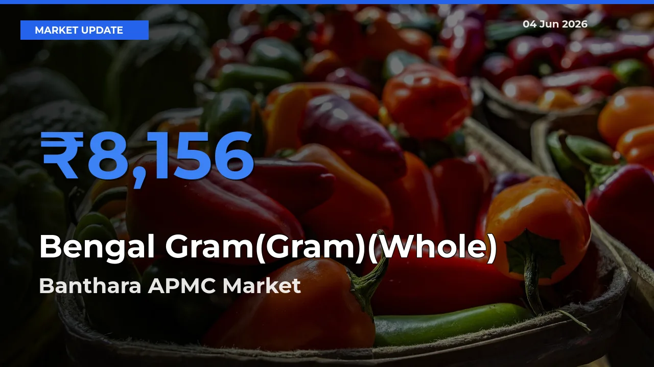 Top Performer! Banthara APMC Offers Best Bengal Gram(Gram)(Whole) Price Today