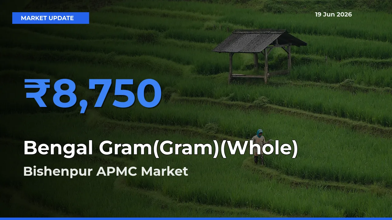 Bishenpur APMC Tops Bengal Gram(Gram)(Whole) Mandi Rates Today