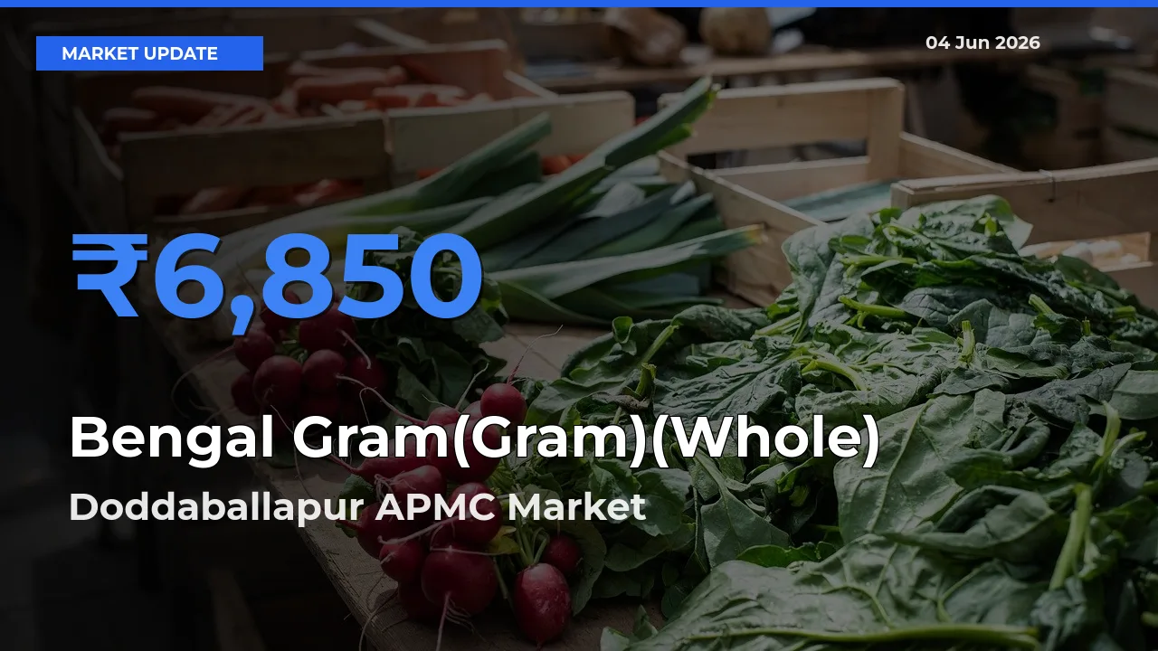 Doddaballapur APMC Leads as Top Mandi for Bengal Gram(Gram)(Whole) Prices