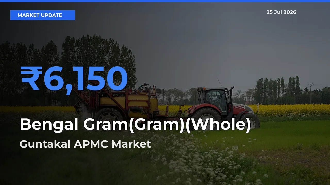 Top Performer! Guntakal APMC Offers Best Bengal Gram(Gram)(Whole) Price Today