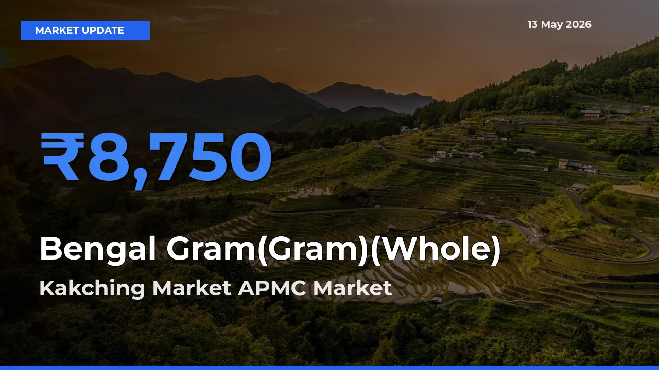 Bengal Gram(Gram)(Whole) Mandi Rate Today: Kakching Market APMC Tops the List