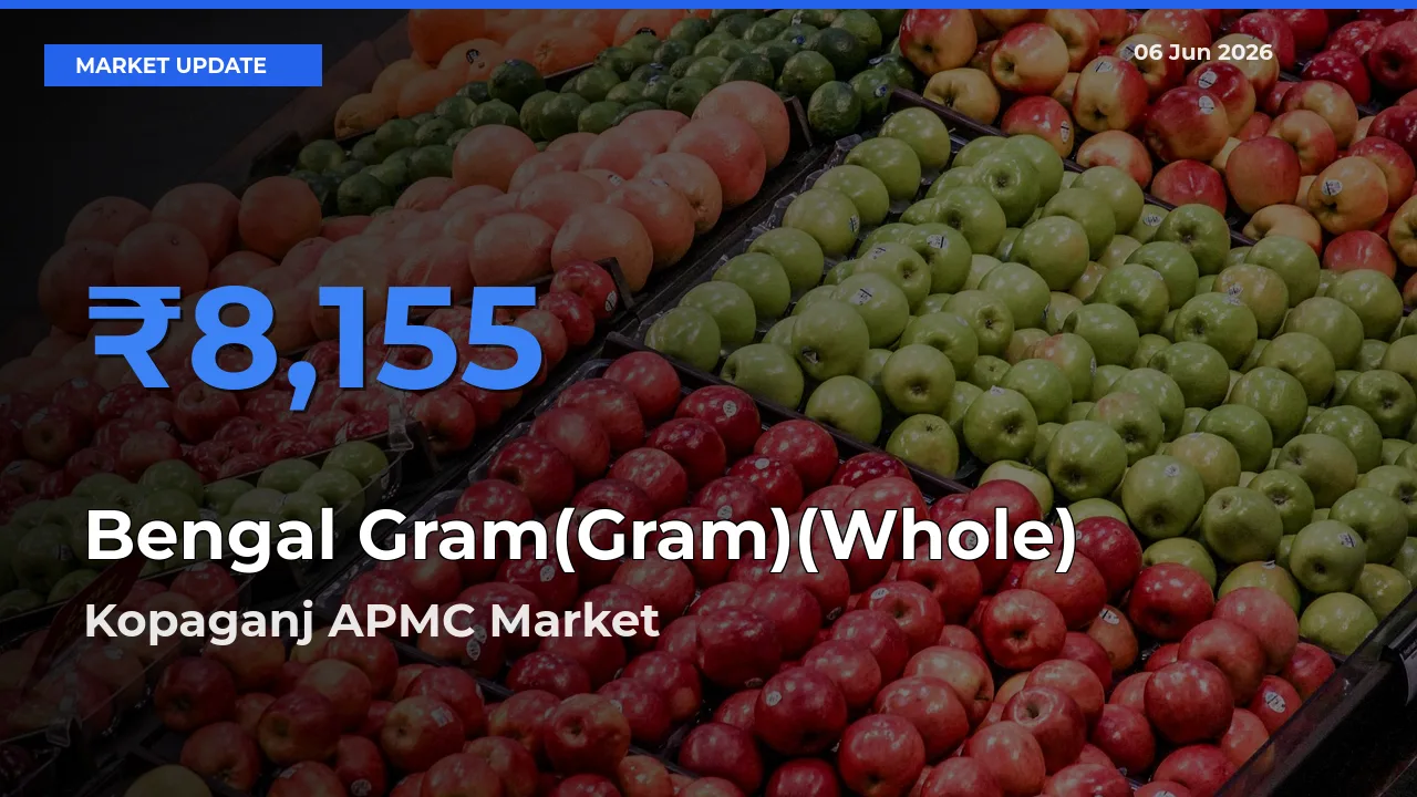 Kopaganj APMC Records Highest ₹8,155 Rate for Bengal Gram(Gram)(Whole)