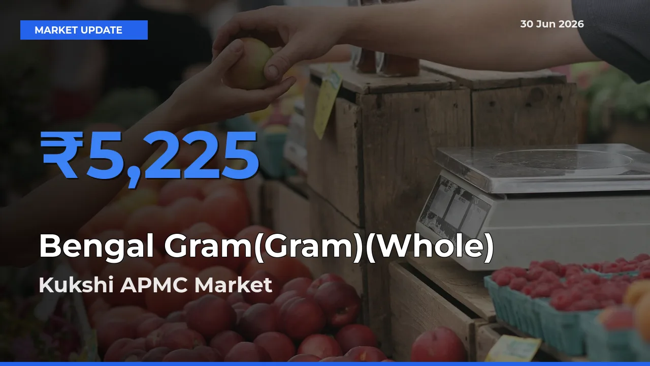 Bengal Gram(Gram)(Whole) Mandi Rate Today: Kukshi APMC Tops the List