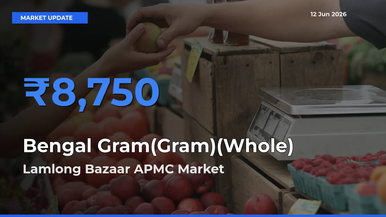 Lamlong Bazaar APMC Leads as Top Mandi for Bengal Gram(Gram)(Whole) Prices