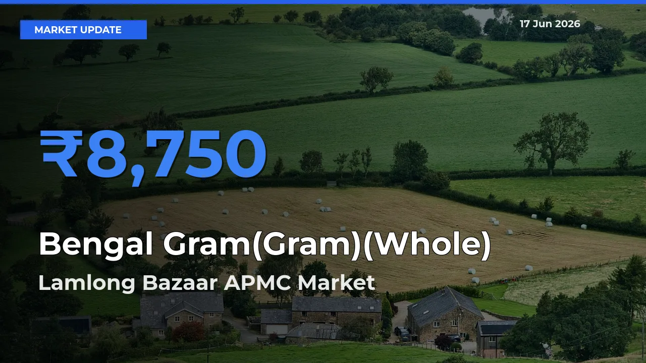 Lamlong Bazaar APMC Tops Bengal Gram(Gram)(Whole) Rates – June 17 Market Update