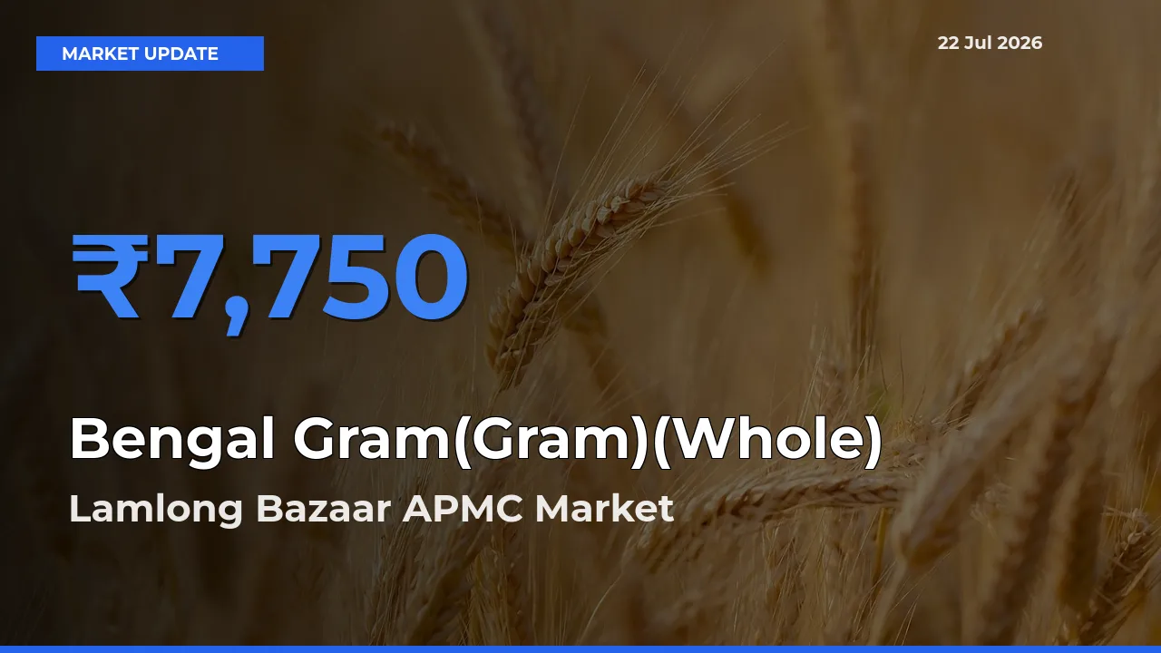 Lamlong Bazaar APMC Tops Bengal Gram(Gram)(Whole) Rates – July 22 Market Update