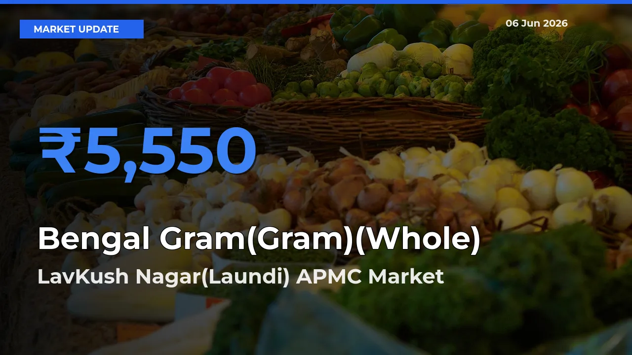 LavKush Nagar(Laundi) APMC Emerges as Top Mandi for Bengal Gram(Gram)(Whole) Prices Today