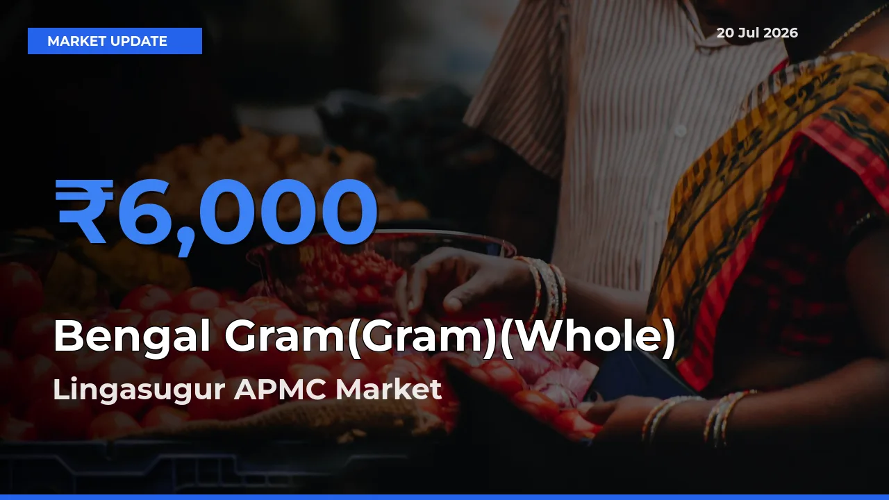 Lingasugur APMC Leads as Top Mandi for Bengal Gram(Gram)(Whole) Prices