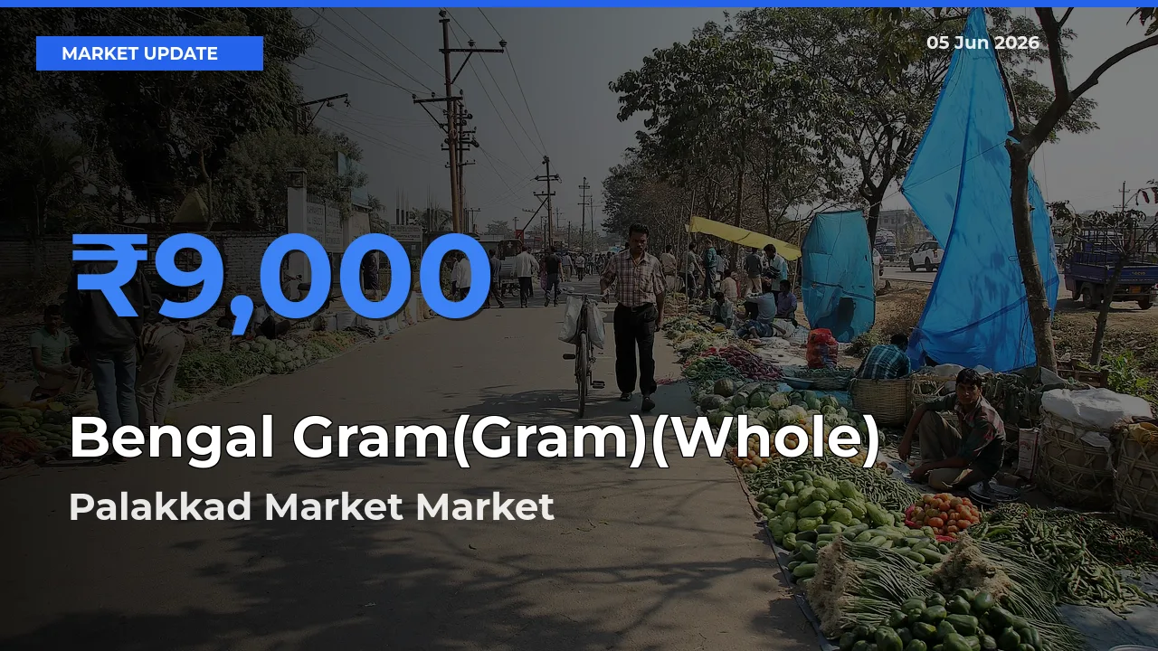 Palakkad Market Tops Bengal Gram(Gram)(Whole) Rates – June 05 Market Update