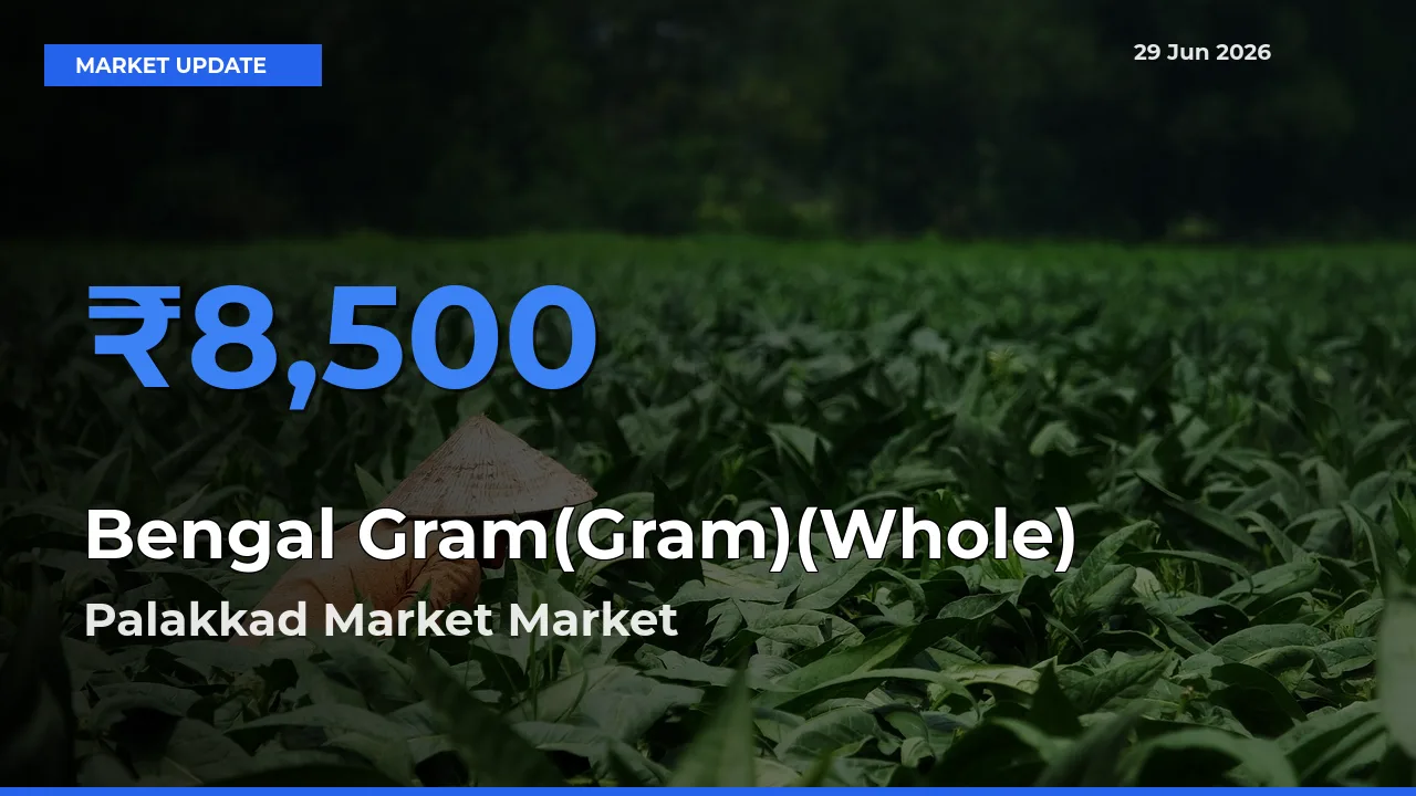 Palakkad Market Tops Bengal Gram(Gram)(Whole) Mandi Rates Today