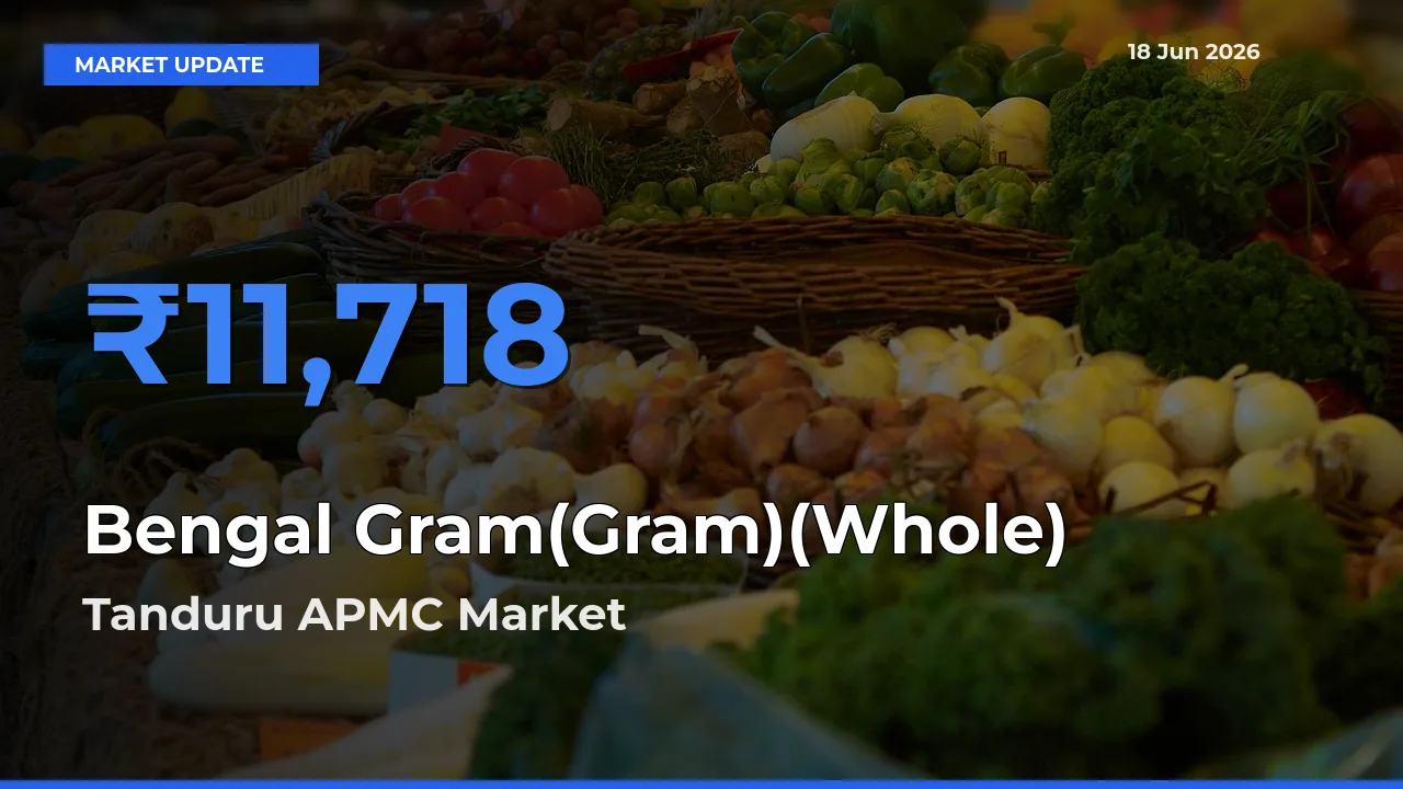 Bengal Gram(Gram)(Whole) Mandi Rate Today: Tanduru APMC Tops the List