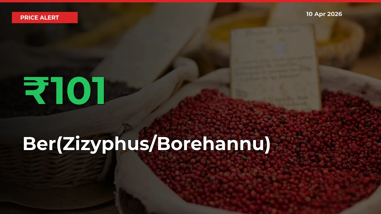 Sudden 101.11% Rally in Ber(Zizyphus/Borehannu) Prices Across Mandis