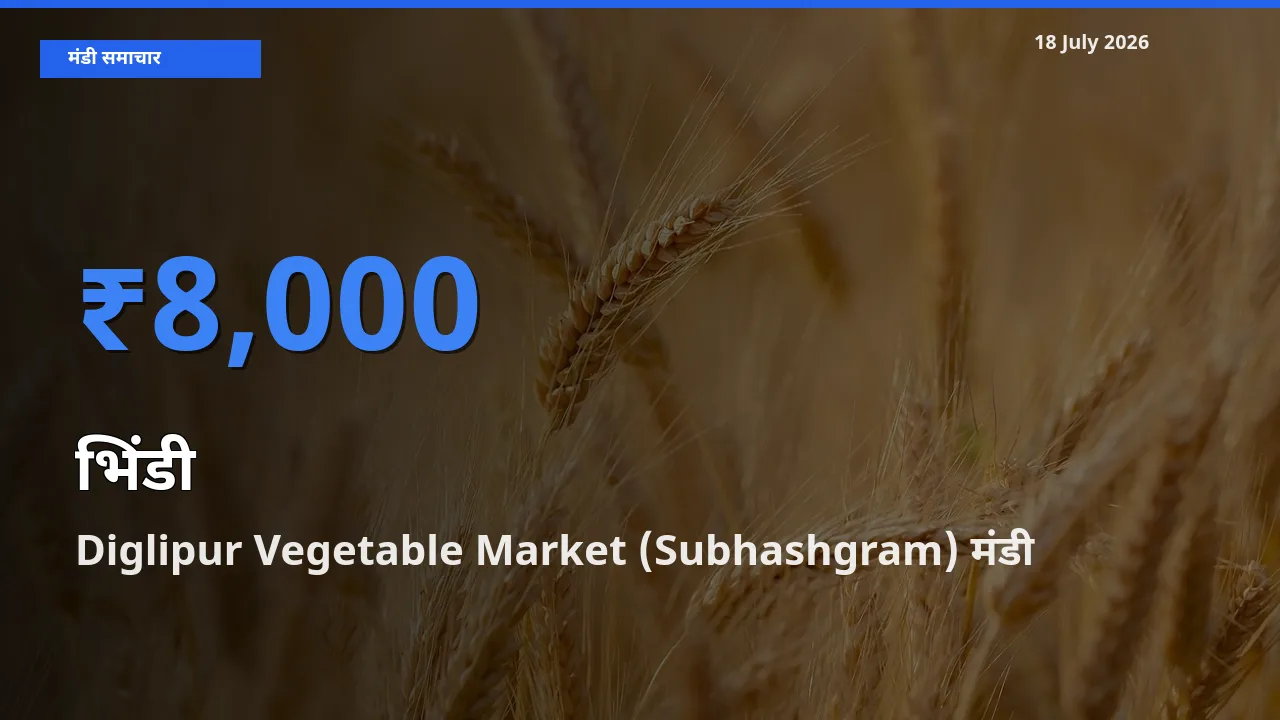 18 July अपडेट: भिंडी के सबसे ऊँचे दाम Diglipur Vegetable Market (Subhashgram) मंडी में