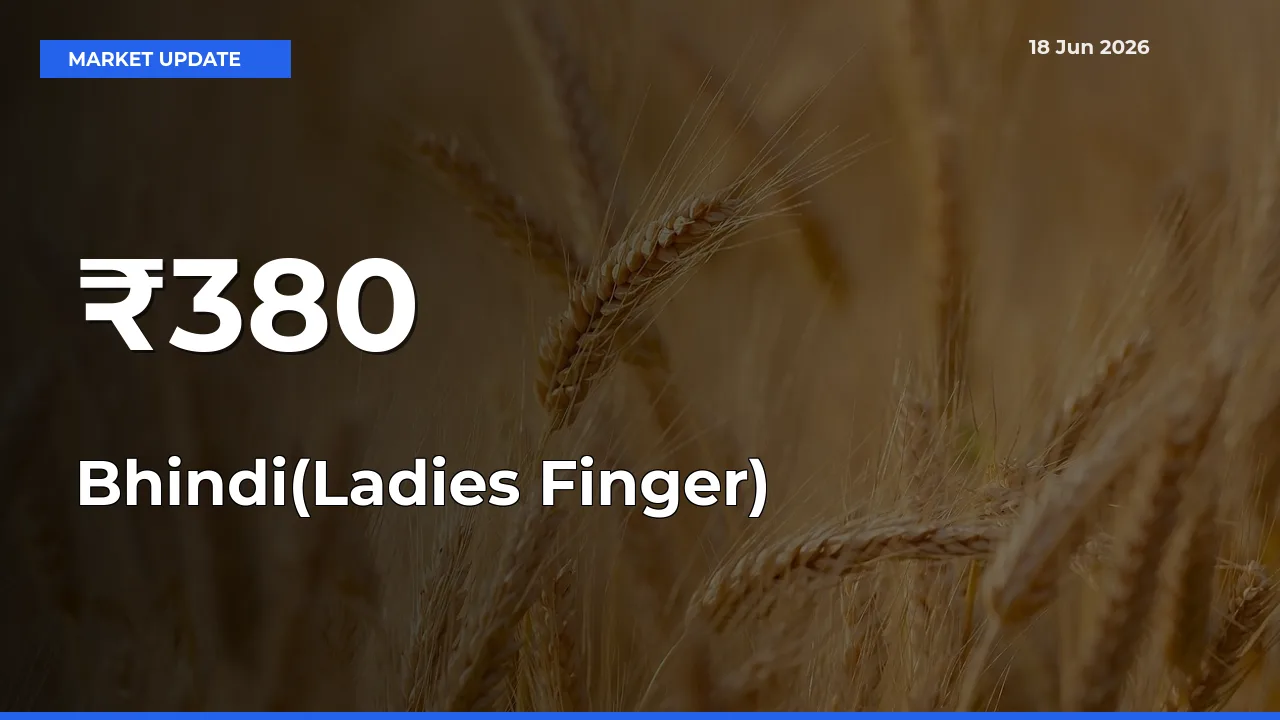 Bhindi(Ladies Finger) Trend Strengthens Across Major Mandis