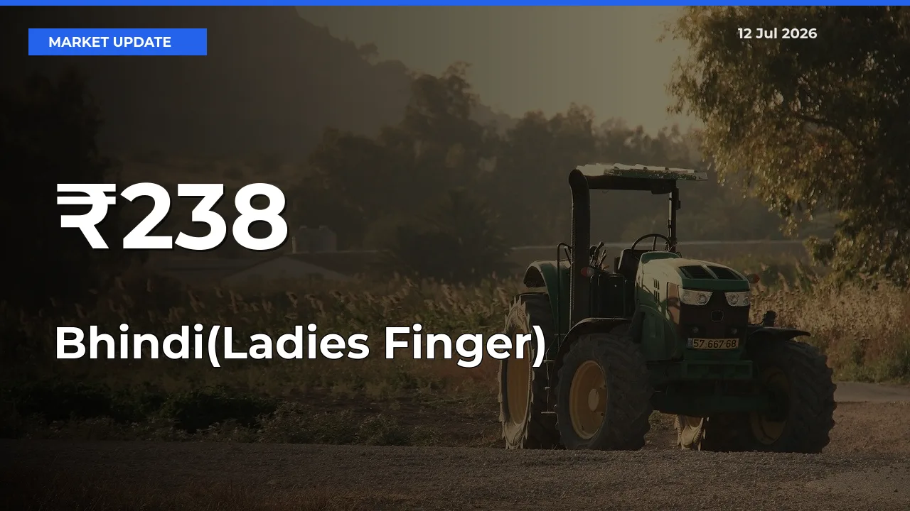 Bhindi(Ladies Finger) Prices Gain Momentum Across 238+ Mandis – Market Trend Strengthens