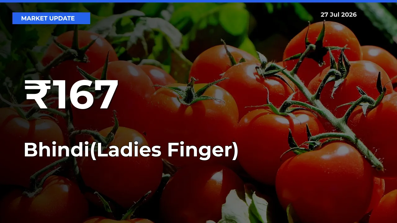 Multi-Mandi Trend Emerges as Bhindi(Ladies Finger) Prices Shift Across Key Markets