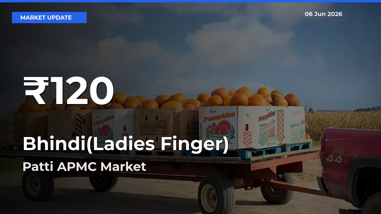 Big Drop! Bhindi(Ladies Finger) Slides to 30-Day Low at Patti APMC