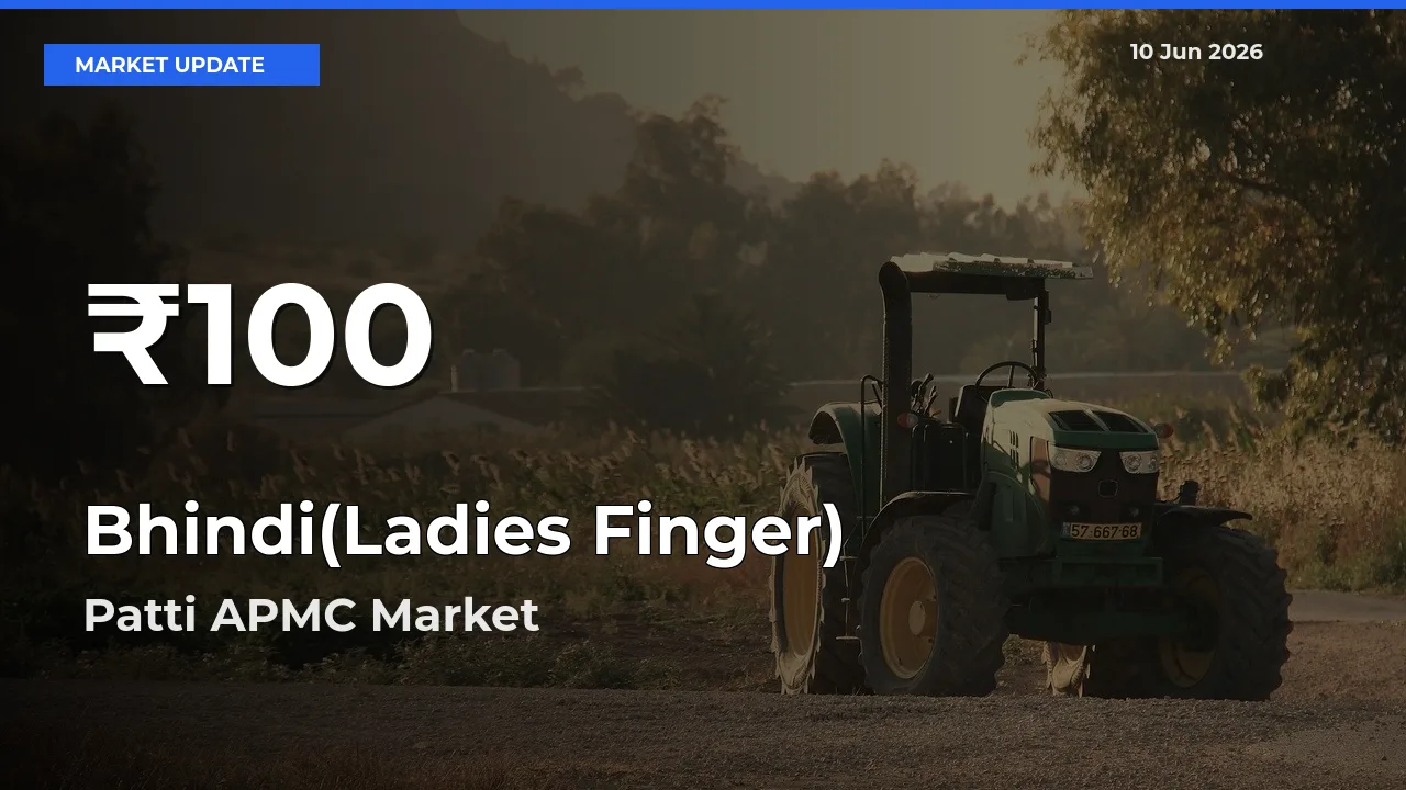 Bhindi(Ladies Finger) Prices Touch 30-Day Low in Patti APMC – June 10 Update