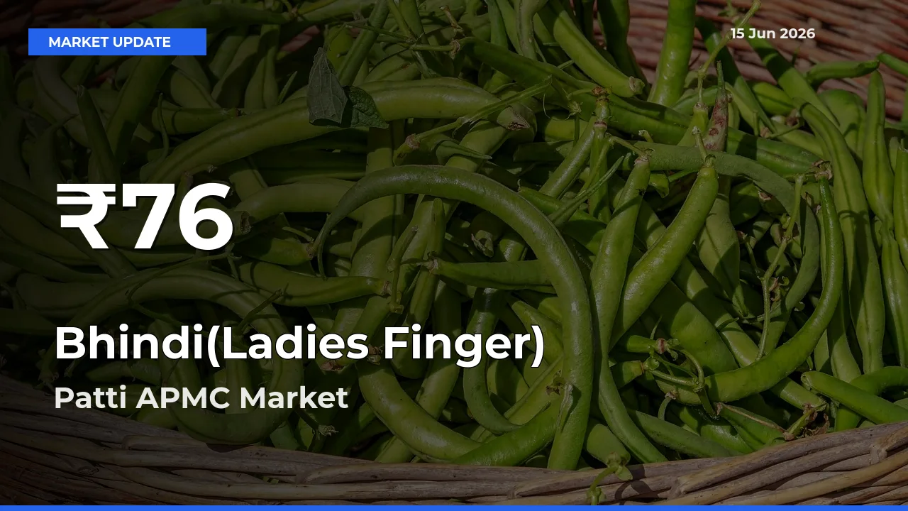 Big Drop! Bhindi(Ladies Finger) Slides to 30-Day Low at Patti APMC
