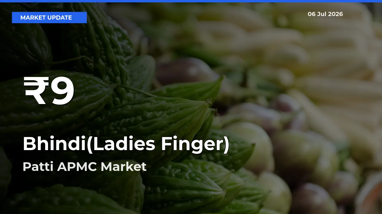 Big Drop! Bhindi(Ladies Finger) Slides to 30-Day Low at Patti APMC