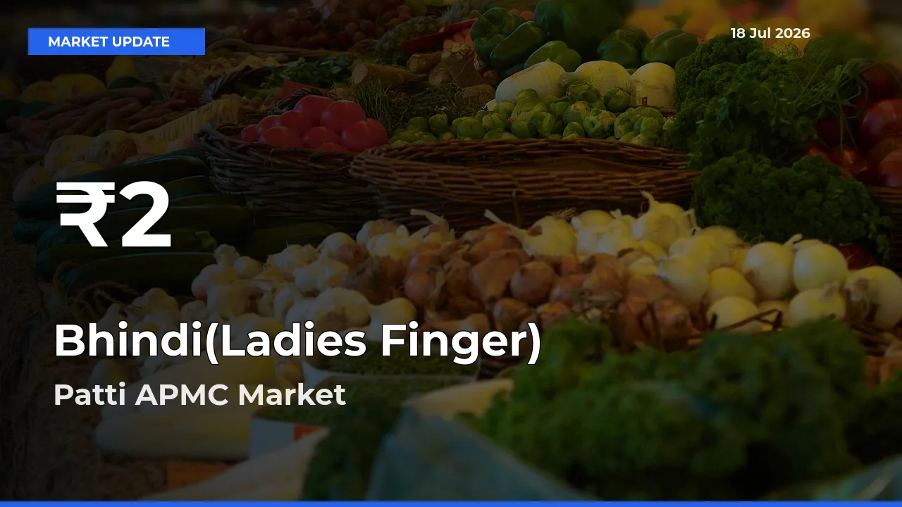 Bhindi(Ladies Finger) Falls to ₹2 in Patti APMC – 30-Day Lowest Rate