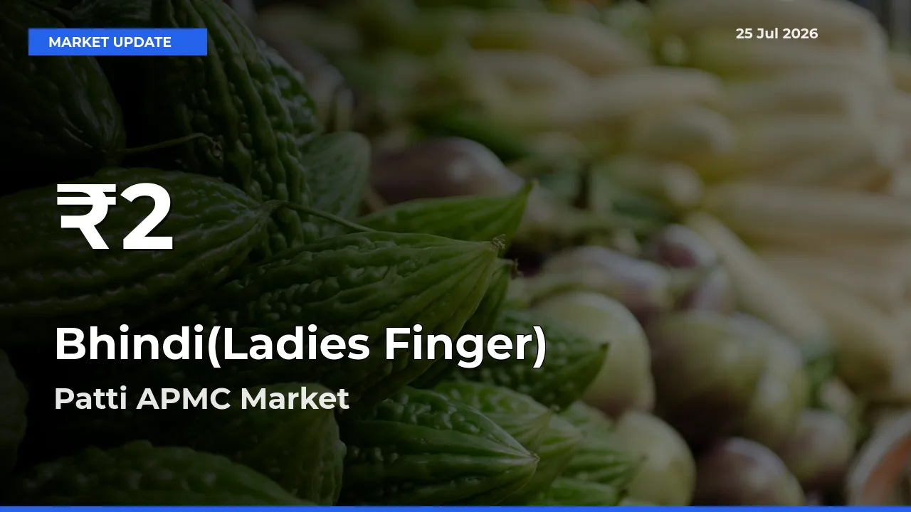 Farmers Concerned as Bhindi(Ladies Finger) Hits 30-Day Low in Patti APMC