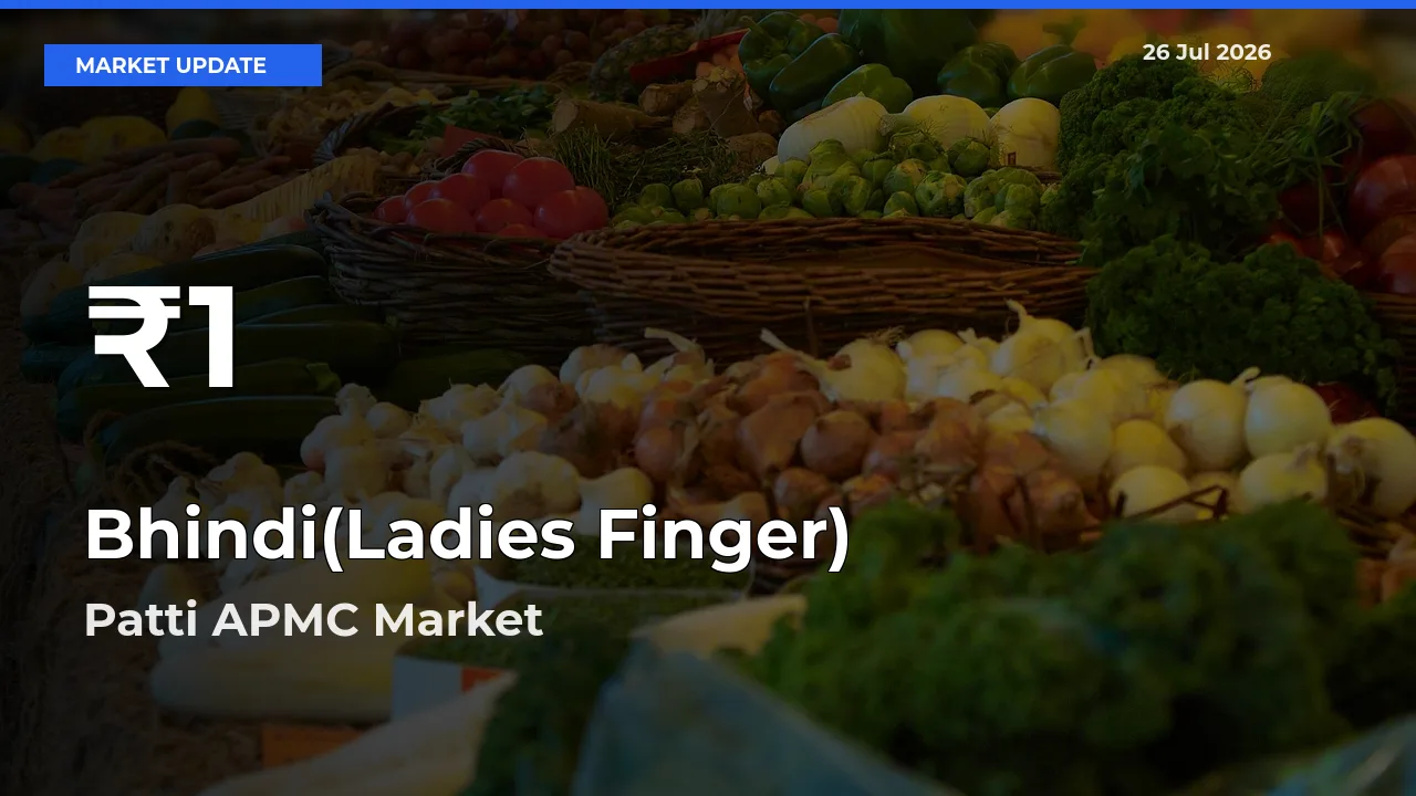 Bhindi(Ladies Finger) Prices Touch 30-Day Low in Patti APMC – July 26 Update