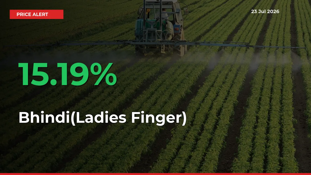 Farmers Cheer as Bhindi(Ladies Finger) Prices Surge 15.19% in Local Mandis