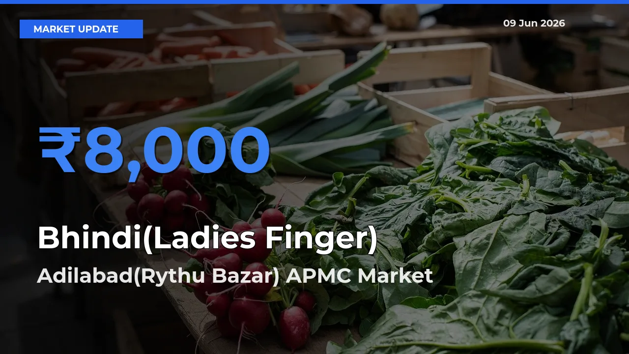Bhindi(Ladies Finger) Mandi Rate Today: Adilabad(Rythu Bazar) APMC Tops the List