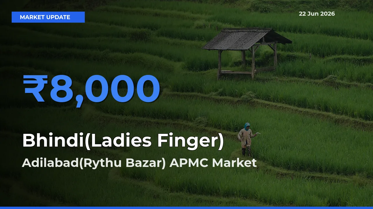 Adilabad(Rythu Bazar) APMC Tops Bhindi(Ladies Finger) Mandi Rates Today