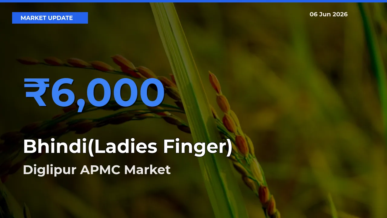 Diglipur APMC Tops Bhindi(Ladies Finger) Mandi Rates Today
